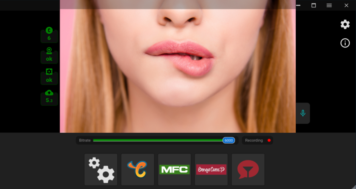 Трансляция на несколько вебкам-сайтов одновременно | Streamster